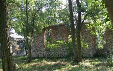 Ruiny gotyckiego kościoła z XIV w. 