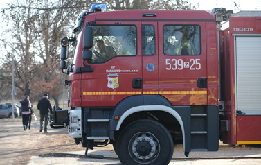 DSCF7984