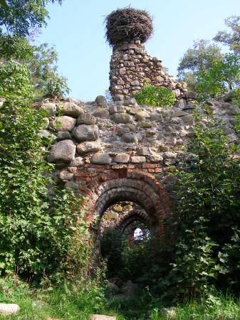 Ruiny gotyckiego kościoła w Dalewie