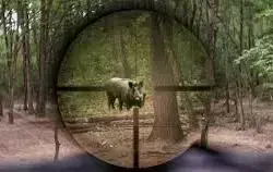 Zdjęcie artykułu z dnia 30-01-2026