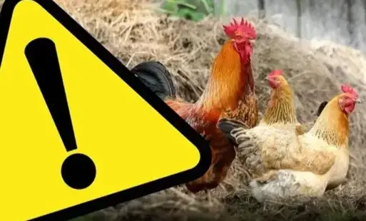 Zdjęcie artykułu z dnia 16-02-2026