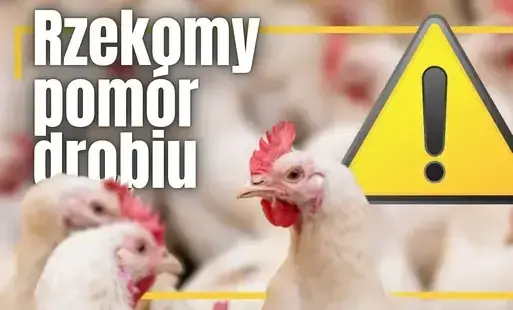 Zdjęcie artykułu z dnia 08-04-2026