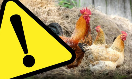 Zdjęcie artykułu z dnia 08-04-2026