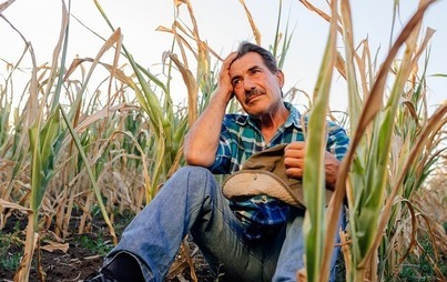 Zdjęcie do Wydłużenie terminu na składanie wniosk&oacute;w o pomoc dla rolnik&oacute;w