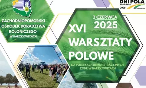 Zdjęcie artykułu z dnia 27-05-2025