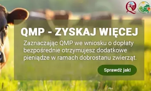 Zdjęcie artykułu z dnia 09-06-2025
