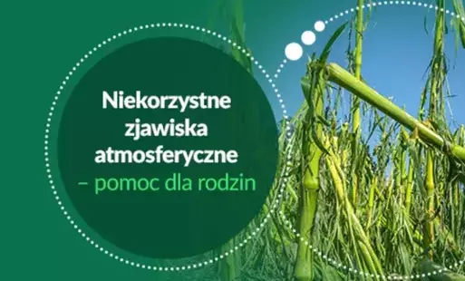 Zdjęcie artykułu z dnia 30-06-2025