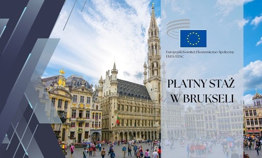 Nabór na płatny płatny staż w Brukseli