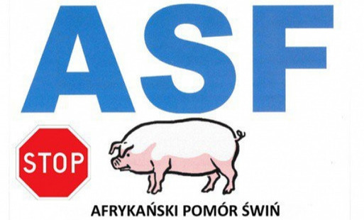 Zdjęcie artykułu z dnia 13-04-2026