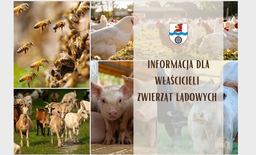 Zdjęcie artykułu z dnia 08-05-2026