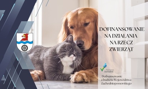Zdjęcie artykułu z dnia 29-05-2026